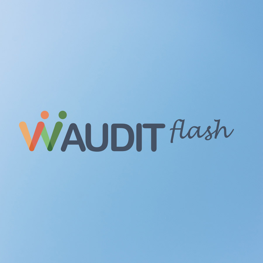 audit flash